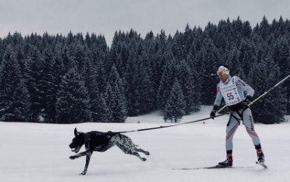 Buena actuación de los mushers españoles en el Campeonato de Europa de Mushing sobre Nieve en Italia