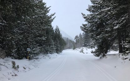 7 km esquiables en los Llanos del Hospital