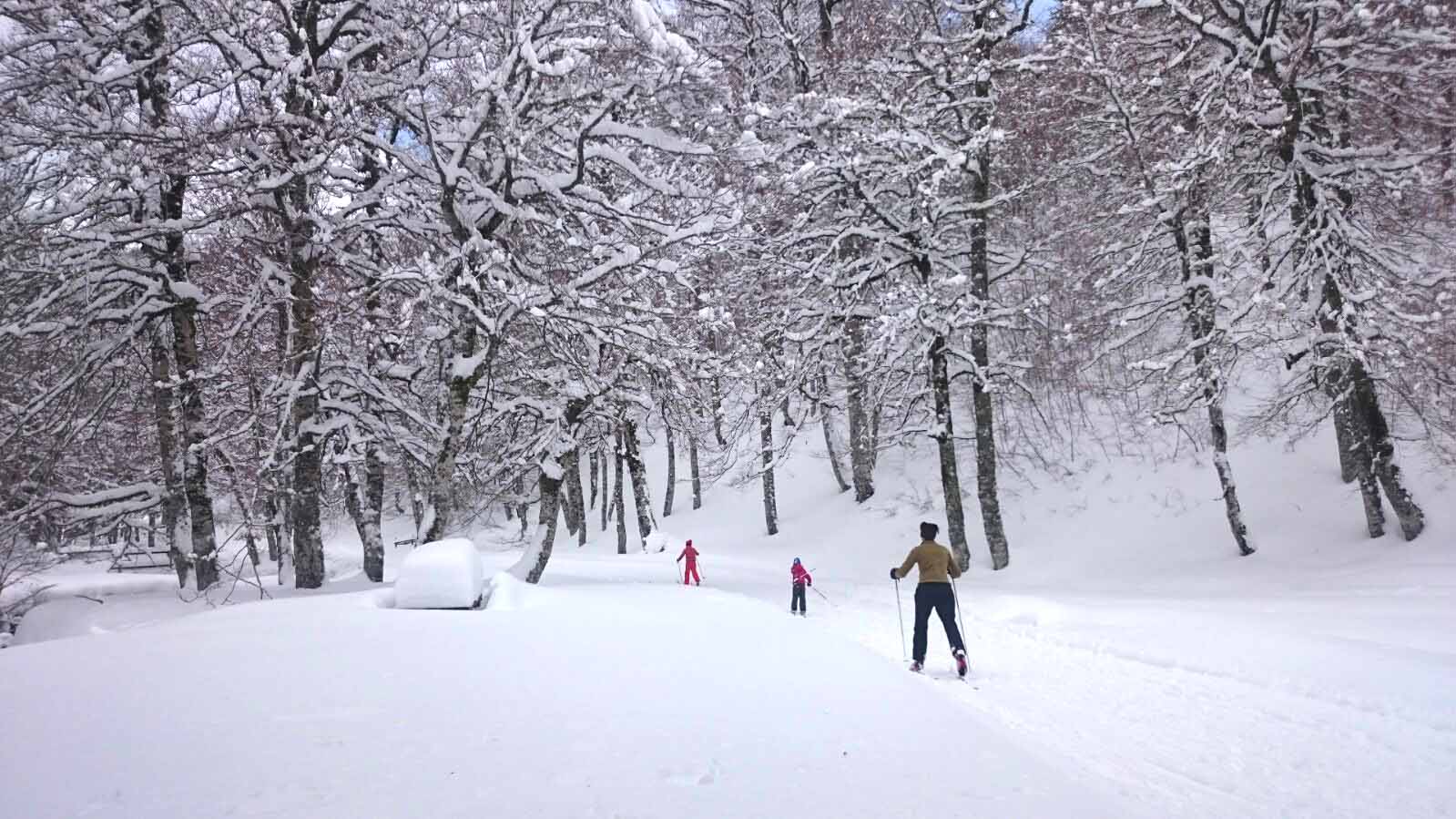Sol y Nieve en las estaciones Aragonesas de Esquí Nórdico
