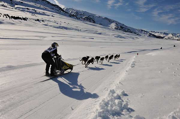 Seis mushers españoles en el Campeonato de Europa WSA de perros nórdicos sobre tierra en Lauf (Alemania)