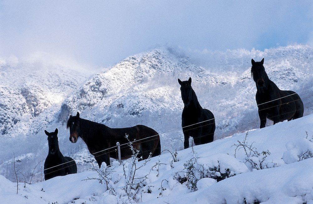 Ax-3-domaines: el “must have” de la nieve, en el Pirineo francés