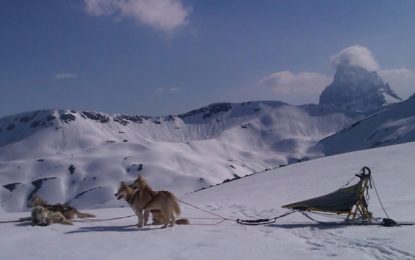 Bautismo de cani-cross en los Pirineos franceses