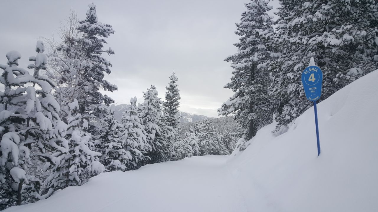 Vallnord recibe el Carnaval con medio metro de nieve fresca y con los dominios abiertos al 100%