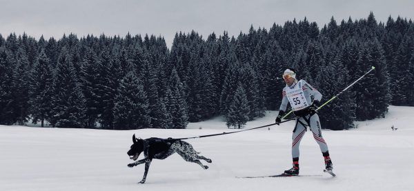 Buena actuación de los mushers españoles en el Campeonato de Europa de Mushing sobre Nieve en Italia