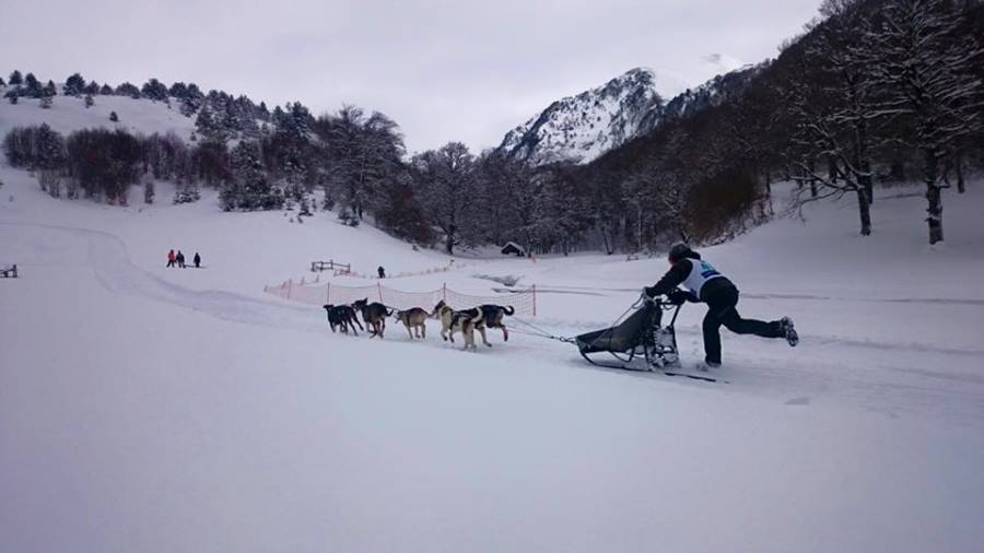 El Campeonato de mushing en linza da el pistoletazo de salida a la Semana Santa