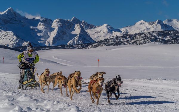 Emocionante Campeonato de España de Mushing Nieve en Baqueira Beret
